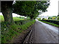 Muddy road at Ballynasaggart