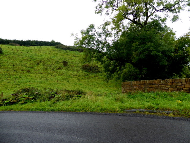 A low hill, Ballynasaggart