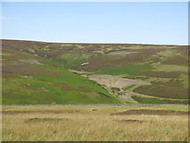 NY9729 : Monk's Moor above Great Eggleshope Beck by Mike Quinn