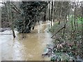 River Line in spate, Whatlington village