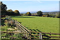 Field behind farmyard, St Illtyd