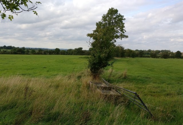 Farmland and cattle trough next to Arnesby Lane