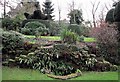 Steps with ferns in Whatlington topiary garden