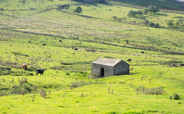 Barn in area of rough grazing