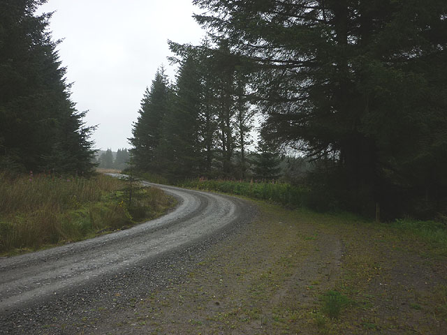 Bend on a forest road, Craik Forest