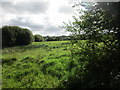 ST3700 : Grass field near Northay Cross by Jonathan Thacker