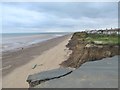 South along Tranmere Cliff