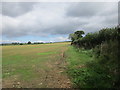 Field at Higher Barton