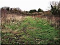 Former allotments in Lower Waites Lane, Fairlight Cove