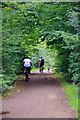 Cyclists On The Holly Trail