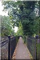 Fenced Cyclepath