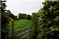 Footpath off Main Road, Aylesby