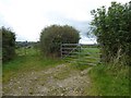 Adjacent field entrances, Southcott 