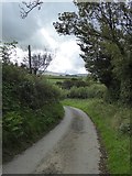 SX5495 : Lane to Southcott from the north by David Smith