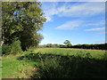 Grass field neat Thornford Station