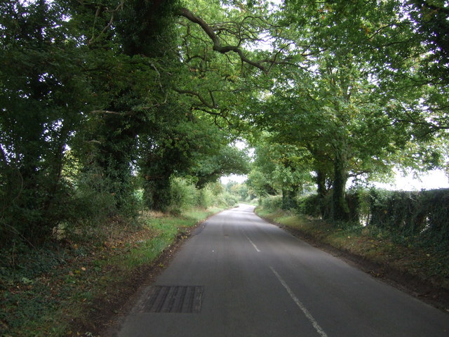 Surlingham Lane