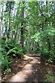 Dunskey Trail in Church Walk Wood