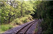 SN7377 : Vale of Rheidol railway through Coed Ty'n-y-castell by John Lucas