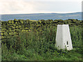 Trig point beside dry stone wall