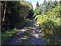 Northumberland Coast Path near Shiellow Crag