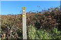 NW9955 : Southern Upland Way Marker by Billy McCrorie