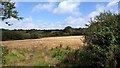 Field near Bostrase