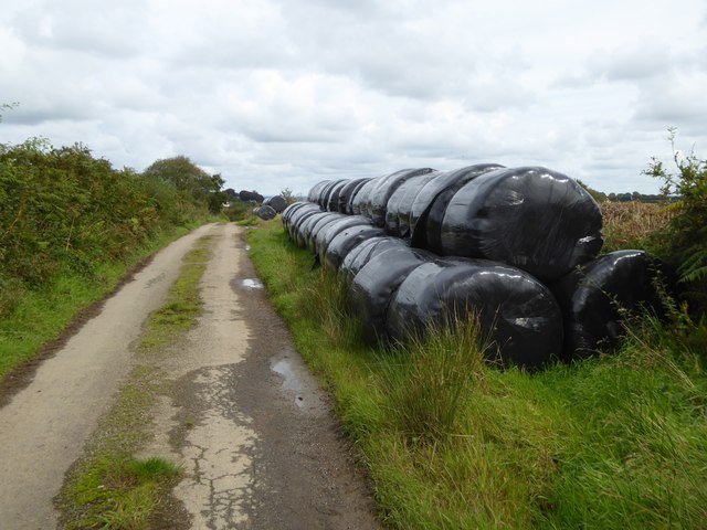 Bales beside the road to Westacombe