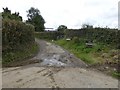 Track to farm at Westacombe