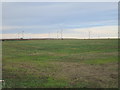 Out Newton Wind Farm seen from Fosse Hill