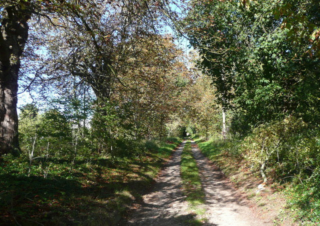 Footpath at Bury End, Shillington