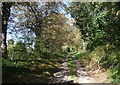 Footpath at Bury End, Shillington