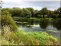 Rushden Lake