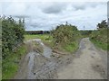 Field gateway by road to Norleigh Mill Farm