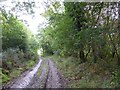 Track north of Medland Farm