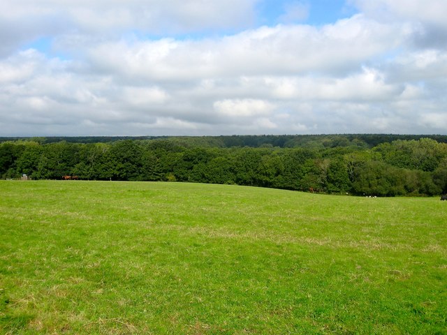 West Swillage Field