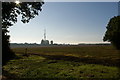 TM4359 : View towards the transmitter mast, from the track alongside Four Acre Covert by Christopher Hilton