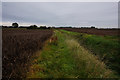 Path leading to Stallingborough