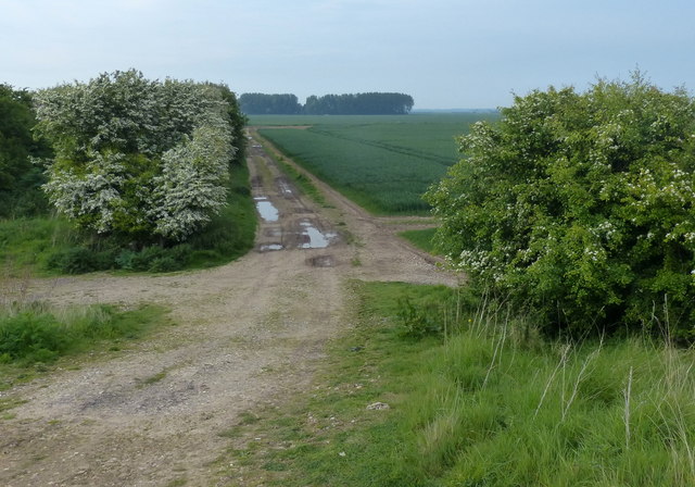 Track to the Old Hall