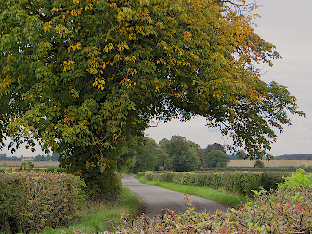 Lane near Whitwell-on-the-Hill