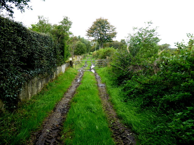 A muddy lane, Arvalee