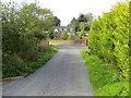 Road from Puddockhole to Nethermains and Croalchapel