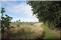 Footpath to Asheldham Grange