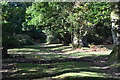 Path on the edge of the heath at Hill Top