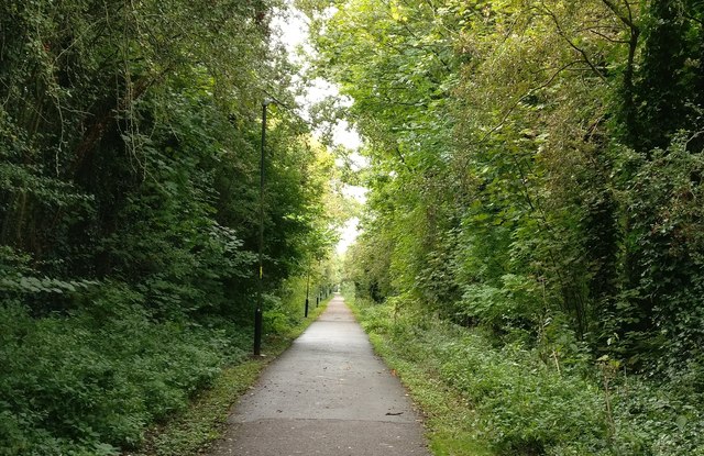 Forest Way cycleway and footpath