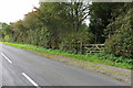 Apple strewn lay-by on Harrold Road