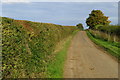 Farm lane and footpath into Harrold