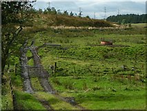 NS4759 : Farm track by Lairich Rig