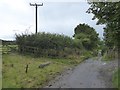 Track to Essworthy with field entrance