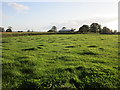 Grass field and barn at Darvole