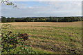 Stubble field by new road